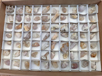 Natural Amethyst Spirit Quartz Crystals x 70 From Boekenhouthoek, South Africa - Toprock Gemstones and Minerals