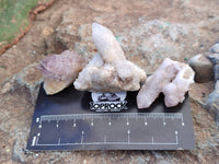 Natural Amethyst Spirit Quartz Crystals x 70 From Boekenhouthoek, South Africa - Toprock Gemstones and Minerals