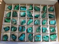 Polished Malacolla Free Forms x 35 From Kalukundi Mine, Congo - Toprock Gemstones and Minerals