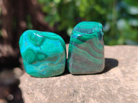 Polished Malacolla Free Forms x 35 From Kalukundi Mine, Congo - Toprock Gemstones and Minerals