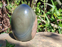 Polished Polychrome Jasper Standing Free Form x 1 From NW Coast, Madagascar - Toprock Gemstones and Minerals