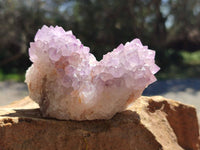 Natural Amethyst Spirit Quartz Clusters x 4 From Boekenhouthoek, South Africa - Toprock Gemstones and Minerals