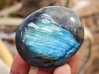 Polished Labradorite Galets x 20 From Tulear, Madagascar - Toprock Gemstones and Minerals