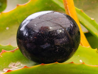 Polished Black Tourmaline Palm Stones x 12 From Madagascar - Toprock Gemstones and Minerals
