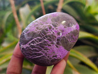 Polished Stichtite Free Forms x 6 From Barberton, South Africa - Toprock Gemstones and Minerals