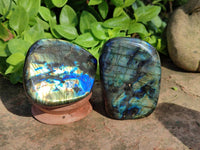Polished Labradorite Standing Free Forms x 5 From Tulear, Madagascar - Toprock Gemstones and Minerals