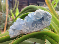 Natural Blue Celestite Specimens x 3 From Sakoany, Madagascar - Toprock Gemstones and Minerals
