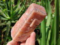 Natural Rhombohedral Sunset Orange Calcite Specimens x 6 From Spitzkop, Namibia - Toprock Gemstones and Minerals