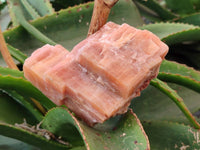 Natural Rhombohedral Sunset Orange Calcite Specimens x 6 From Spitzkop, Namibia - Toprock Gemstones and Minerals