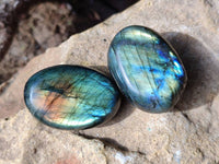 Polished Labradorite Palm Stones x 20 From Tulear, Madagascar - Toprock Gemstones and Minerals