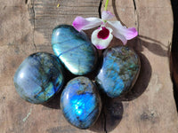 Polished Labradorite Palm Stones x 20 From Tulear, Madagascar - Toprock Gemstones and Minerals