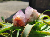 Natural Amethyst Spirit Quartz Crystals x 20 From Boekenhouthoek, South Africa - Toprock Gemstones and Minerals
