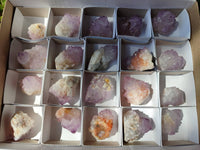 Natural Amethyst Spirit Quartz Crystals x 20 From Boekenhouthoek, South Africa - Toprock Gemstones and Minerals