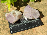 Natural Amethyst Spirit Quartz Crystals x 20 From Boekenhouthoek, South Africa - Toprock Gemstones and Minerals