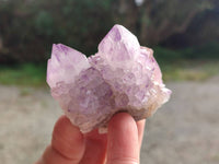 Natural Amethyst Spirit Quartz Clusters x 12 From Boekenhouthoek, South Africa - Toprock Gemstones and Minerals