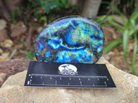 Polished Labradorite Standing Free Forms x 6 From Tulear, Madagascar - Toprock Gemstones and Minerals