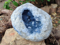 Natural Blue Celestite Geode Specimen x 1 From Sakoany, - Toprock Gemstones and Minerals