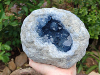Natural Blue Celestite Geode Specimen x 1 From Sakoany, - Toprock Gemstones and Minerals