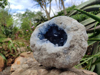 Natural Blue Celestite Geode Specimen x 1 From Sakoany, - Toprock Gemstones and Minerals