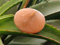 Polished Orange Twist Calcite Galets x 12 From Maevantanana, Madagascar - Toprock Gemstones and Minerals