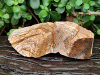 Natural Cobbed Picture Stone Jasper Specimens x 12 From Ais-Ais, Namibia - Toprock Gemstones and Minerals