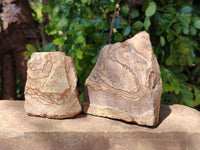 Natural Cobbed Picture Stone Jasper Specimens x 12 From Ais-Ais, Namibia - Toprock Gemstones and Minerals