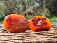 Polished Carnelian Agate Gemstone Galets x 12 From Madagascar - Toprock Gemstones and Minerals