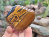Polished Golden Tiger's Eye Free Forms x 6 From Prieska, South Africa - Toprock Gemstones and Minerals