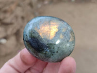 Polished Labradorite Palm Stones x 20 From Tulear, Madagascar - Toprock Gemstones and Minerals