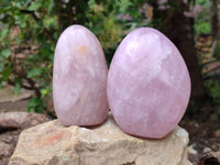 Polished Rose Quartz Standing Free Forms x 2 From Madagascar - Toprock Gemstones and Minerals