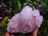 Natural Amethyst Spirit Quartz Clusters x 3 From Boekenhouthoek, South Africa - Toprock Gemstones and Minerals