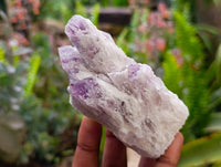 Natural Sugar Amethyst Clusters x 6 From Zambia - Toprock Gemstones and Minerals