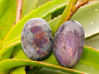 Polished Labradorite Galets x 24 From Tulear, Madagascar - Toprock Gemstones and Minerals