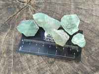 Natural Watermelon Fluorite Cobbed Pieces x 5 Kg Lot From Uis, Namibia - Toprock Gemstones and Minerals