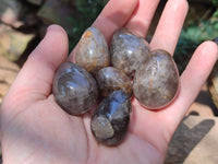 Polished Smokey Window Quartz Eggs x 35 From Madagascar - Toprock Gemstones and Minerals