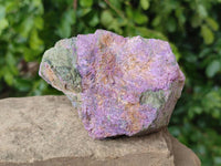 Natural Stichtite Cobbed Specimens x 6 From Barberton, South Africa - Toprock Gemstones and Minerals