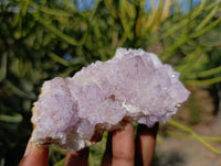Natural Amethyst Spirit Quartz Clusters x 6 From Boekenhouthoek, South Africa - Toprock Gemstones and Minerals