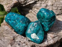 Polished Dioptase Free Forms x 20 From Likasi, Congo - Toprock Gemstones and Minerals