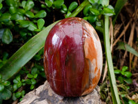 Polished Red Podocarpus Petrified Wood Standing Free Forms x 2 From Mahajanga, Madagascar - Toprock Gemstones and Minerals