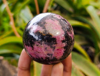 Polished Rhodonite Spheres x 6 From Ambindavato, Madagascar - Toprock Gemstones and Minerals
