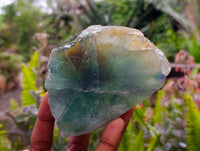 Polished On One Side Watermelon Fluorite x 6 From Uis, Namibia - Toprock Gemstones and Minerals