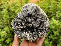 Natural Schorl Black Tourmaline with Orthoclase x 1 From Erongo, Namibia - Toprock Gemstones and Minerals