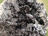 Natural Schorl Black Tourmaline with Orthoclase x 1 From Erongo, Namibia - Toprock Gemstones and Minerals