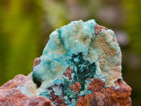 Natural Drusy Coated Chrysocolla With Malachite Specimens x 6 From Lupoto Mine, Congo - Toprock Gemstones and Minerals