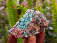 Natural Drusy Coated Chrysocolla With Malachite Specimens x 6 From Lupoto Mine, Congo - Toprock Gemstones and Minerals