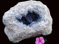 Natural Blue Celestite Geode Specimen x 1 From Sakoany, Madagascar - Toprock Gemstones and Minerals