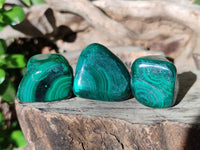 Polished Flower Banded Malachite Free Forms x 35 From Congo - Toprock Gemstones and Minerals