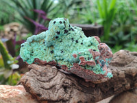Natural Drusy Coated Chrysocolla With Various Inclusions x 3 From Lupoto Mine, Congo - Toprock Gemstones and Minerals