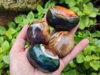 Polished Polychrome Jasper Galets x 12 From NW Coast, Madagascar - Toprock Gemstones and Minerals