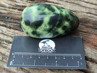Polished Leopard Stone Free Forms x 6 From Zimbabwe - Toprock Gemstones and Minerals
